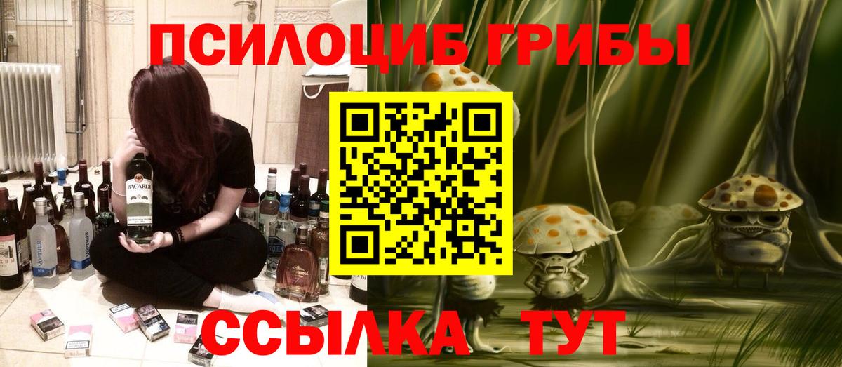 Галлюциногенные грибы Cubensis Киселёвск