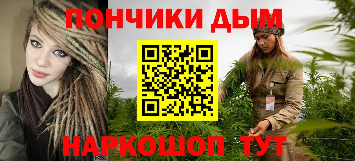 Киселёвск  Шишки марихуана сатива  Вход с VPN  Бошки марихуана марихуана  Канабис семена 